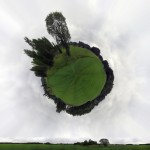 Wee Planet: That Old Tree