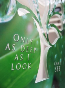 Only as deep as I look can I SEE by Nikki Smith