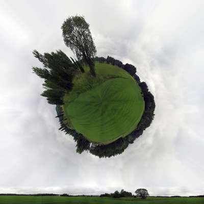 Wee Planet: That Old Tree